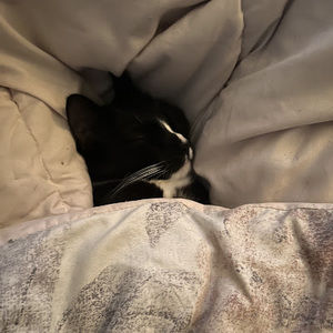 Meet your Posher, Kai